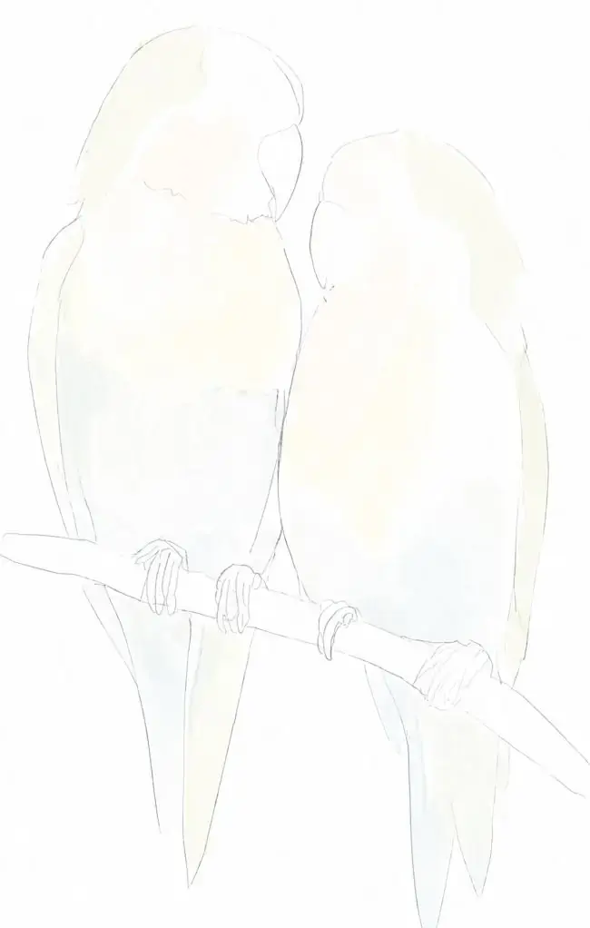 수채화 모란앵무, 1단계: 큰 형태