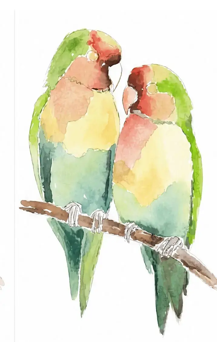수채화 모란앵무, 8단계: 강조