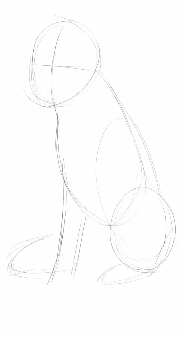 Pencil puppy, stage 1: Big shapes
