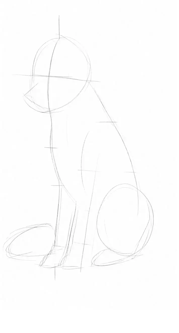 Pencil puppy, stage 2: Proportions