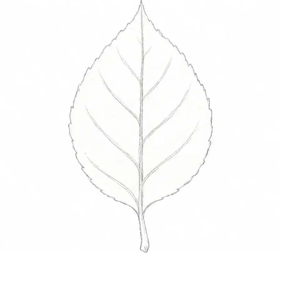Watercolor leaf, stage 2: Outline and veins
